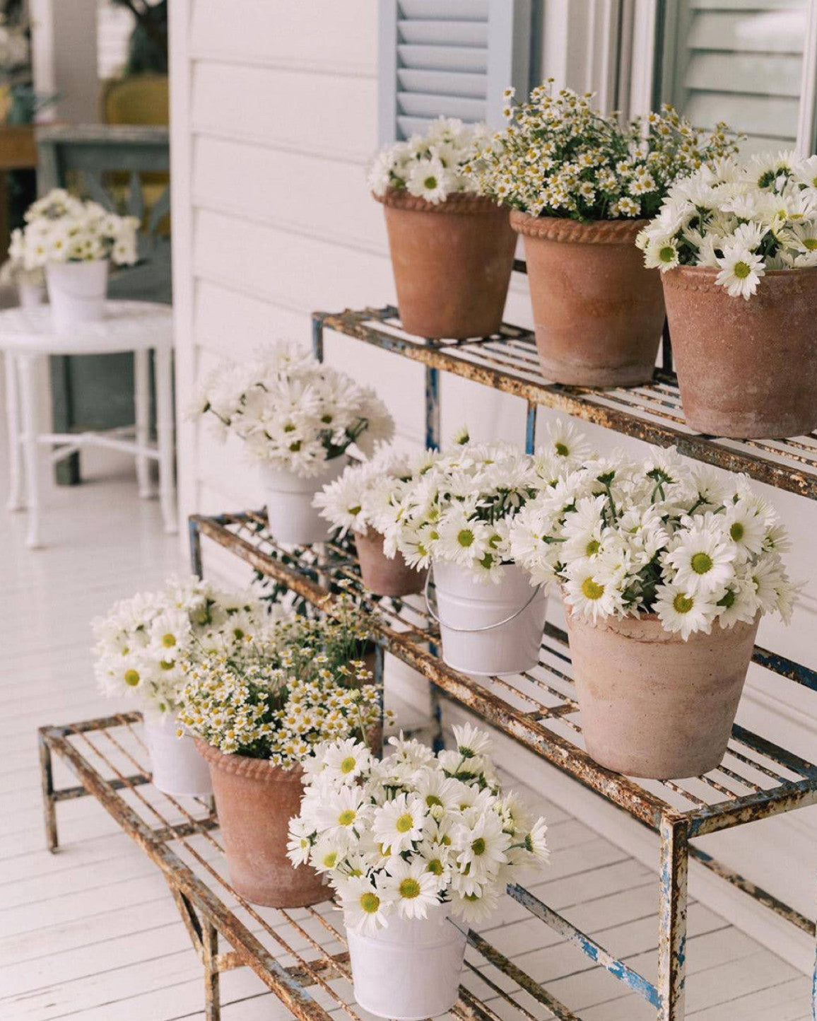 Shop Seasonal Porches