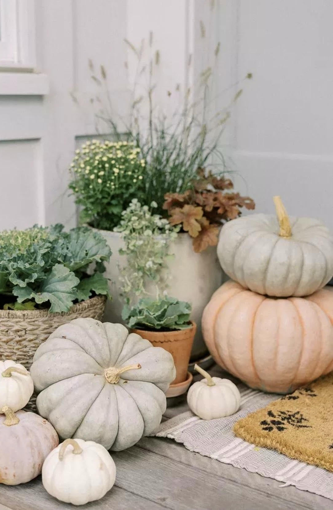 Porch Pumpkin Packages