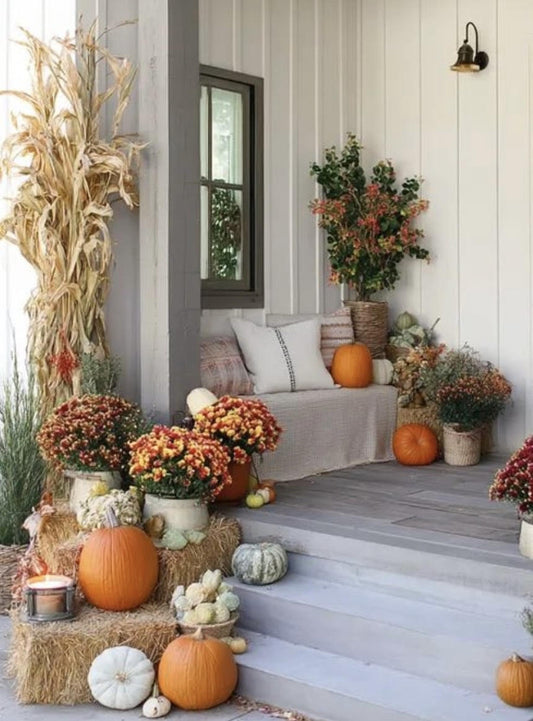 Mixed Harvest Porch Pumpkin Package